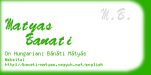 matyas banati business card